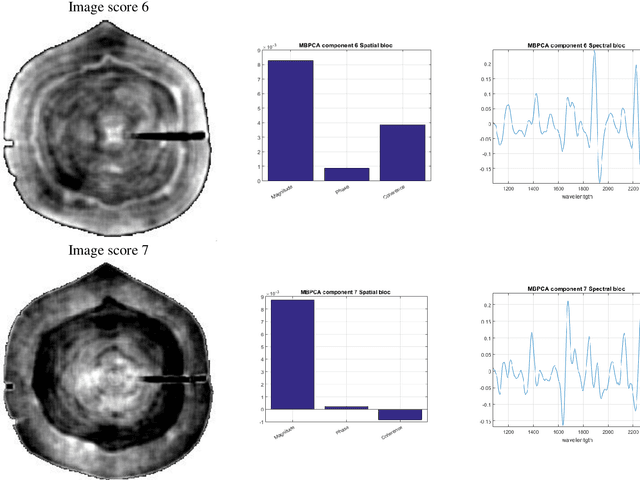 Figure 4 for A novel approach to combine spatial and spectral information from hyperspectral images
