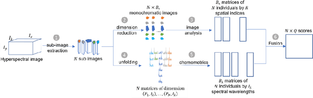 Figure 1 for A novel approach to combine spatial and spectral information from hyperspectral images