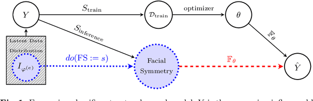 Figure 1 for Facing Asymmetry -- Uncovering the Causal Link between Facial Symmetry and Expression Classifiers using Synthetic Interventions