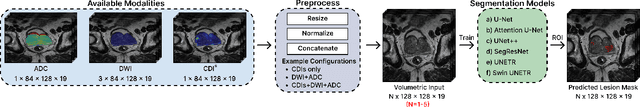 Figure 3 for Cancer-Net PCa-MultiSeg: Multimodal Enhancement of Prostate Cancer Lesion Segmentation Using Synthetic Correlated Diffusion Imaging