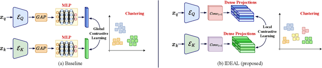 Figure 1 for IDEAL: Improved DEnse locAL Contrastive Learning for Semi-Supervised Medical Image Segmentation