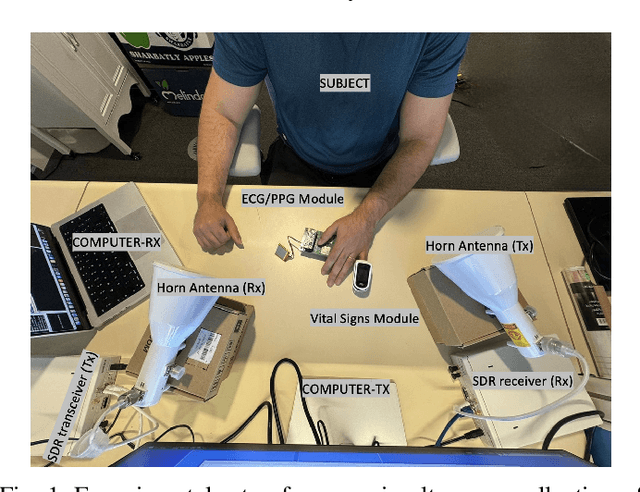 Figure 1 for Radio-PPG: photoplethysmogram digital twin synthesis using deep neural representation of 6G/WiFi ISAC signals