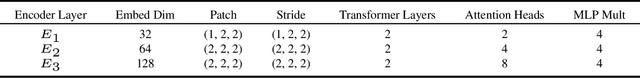 Figure 4 for VistaFormer: Scalable Vision Transformers for Satellite Image Time Series Segmentation