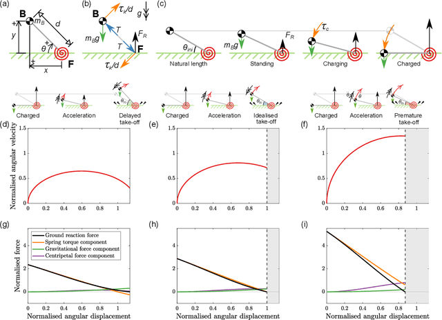 Figure 4 for Characterising the take-off dynamics and energy efficiency in spring-driven jumping robots