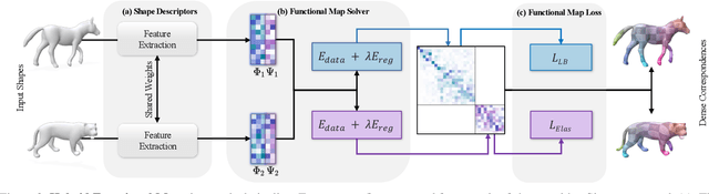 Figure 2 for Hybrid Functional Maps for Crease-Aware Non-Isometric Shape Matching