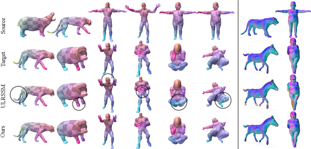 Figure 4 for Hybrid Functional Maps for Crease-Aware Non-Isometric Shape Matching