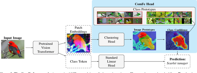 Figure 3 for Scalable and Robust Transformer Decoders for Interpretable Image Classification with Foundation Models