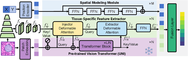 Figure 3 for Neural Proteomics Fields for Super-resolved Spatial Proteomics Prediction