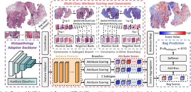 Figure 2 for Rethinking Attention-Based Multiple Instance Learning for Whole-Slide Pathological Image Classification: An Instance Attribute Viewpoint