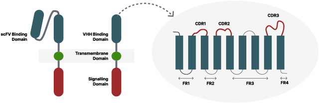Figure 1 for Harnessing Preference Optimisation in Protein LMs for Hit Maturation in Cell Therapy