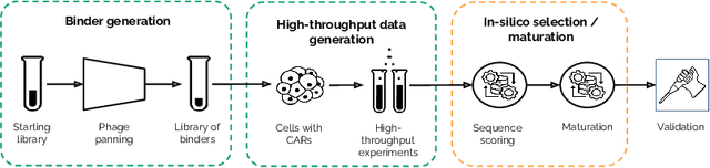 Figure 2 for Harnessing Preference Optimisation in Protein LMs for Hit Maturation in Cell Therapy