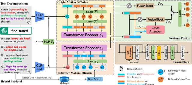Figure 2 for AMD:Anatomical Motion Diffusion with Interpretable Motion Decomposition and Fusion