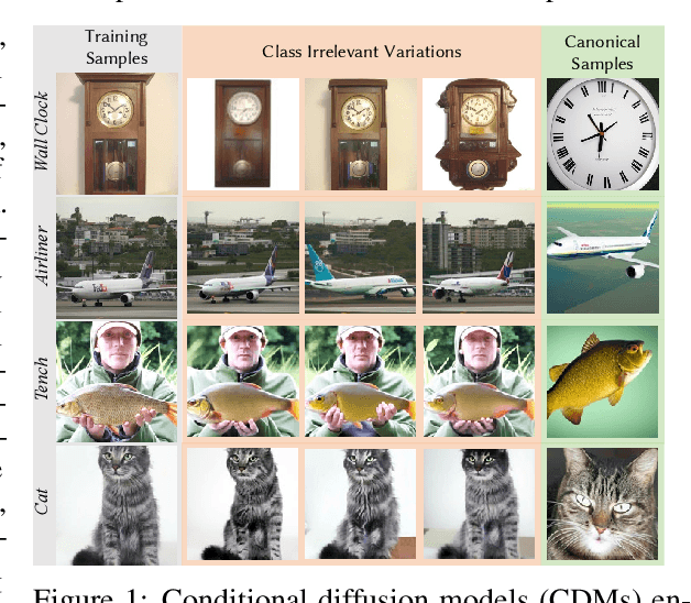 Figure 1 for Canonical Latent Representations in Conditional Diffusion Models