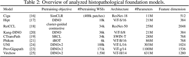 Figure 4 for Do Histopathological Foundation Models Eliminate Batch Effects? A Comparative Study