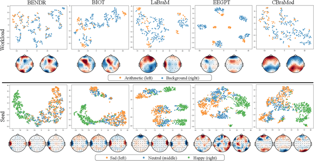Figure 4 for EEG-FM-Bench: A Comprehensive Benchmark for the Systematic Evaluation of EEG Foundation Models