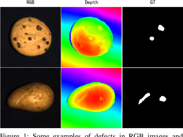 Figure 1 for Dual-Branch Reconstruction Network for Industrial Anomaly Detection with RGB-D Data