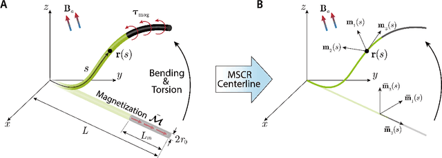 Figure 2 for Real-time simulation enabled navigation control of magnetic soft continuum robots in confined lumens