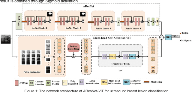 Figure 1 for AResNet-ViT: A Hybrid CNN-Transformer Network for Benign and Malignant Breast Nodule Classification in Ultrasound Images