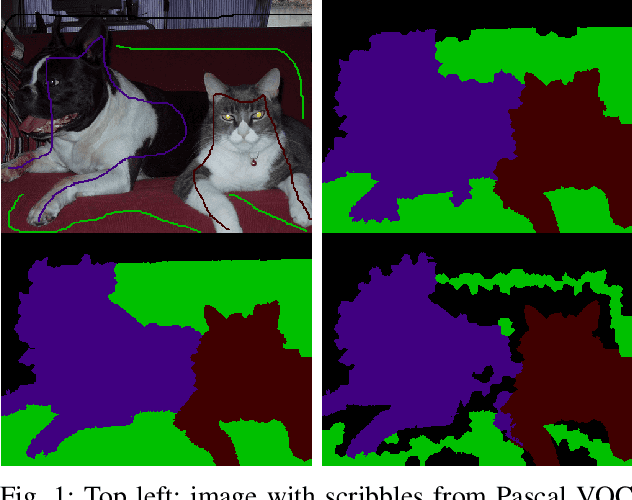 Figure 1 for Connectivity-constrained Interactive Panoptic Segmentation