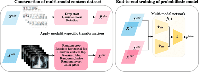 Figure 1 for Informative Priors Improve the Reliability of Multimodal Clinical Data Classification
