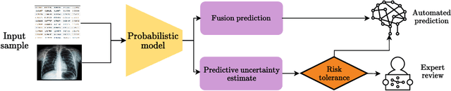 Figure 3 for Informative Priors Improve the Reliability of Multimodal Clinical Data Classification