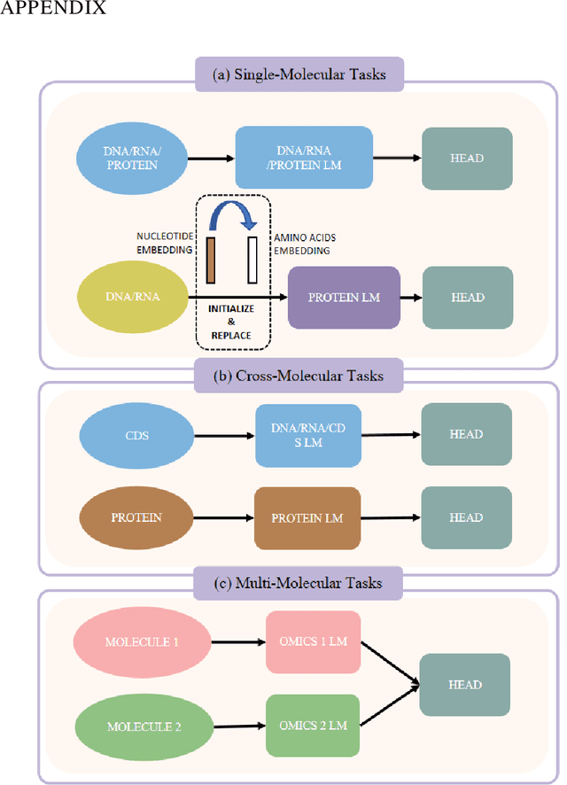 Figure 4 for COMET: Benchmark for Comprehensive Biological Multi-omics Evaluation Tasks and Language Models