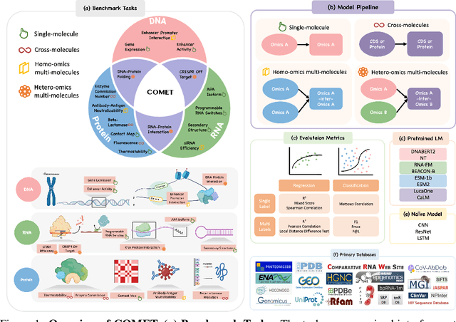 Figure 1 for COMET: Benchmark for Comprehensive Biological Multi-omics Evaluation Tasks and Language Models