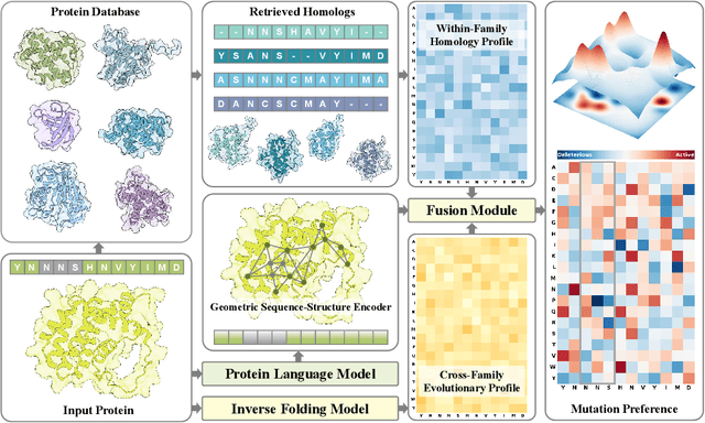 Figure 1 for Evolutionary Profiles for Protein Fitness Prediction