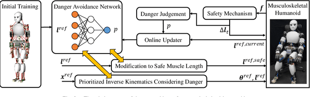 Figure 3 for Online Learning of Danger Avoidance for Complex Structures of Musculoskeletal Humanoids and Its Applications