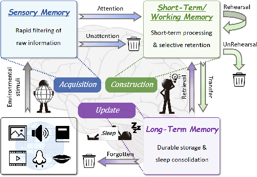 Figure 3 for LightMem: Lightweight and Efficient Memory-Augmented Generation