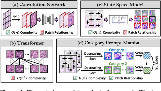 Figure 1 for Category Prompt Mamba Network for Nuclei Segmentation and Classification