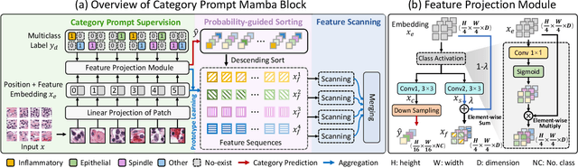 Figure 3 for Category Prompt Mamba Network for Nuclei Segmentation and Classification