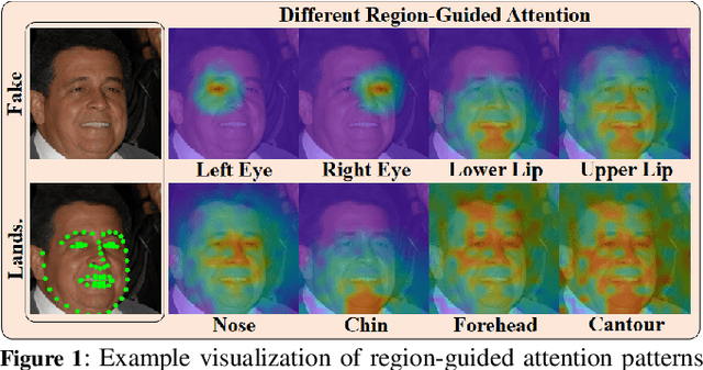 Figure 1 for LAMM-ViT: AI Face Detection via Layer-Aware Modulation of Region-Guided Attention