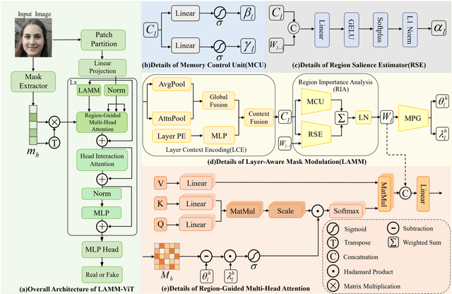 Figure 3 for LAMM-ViT: AI Face Detection via Layer-Aware Modulation of Region-Guided Attention