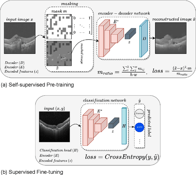 Figure 3 for Multi-OCT-SelfNet: Integrating Self-Supervised Learning with Multi-Source Data Fusion for Enhanced Multi-Class Retinal Disease Classification