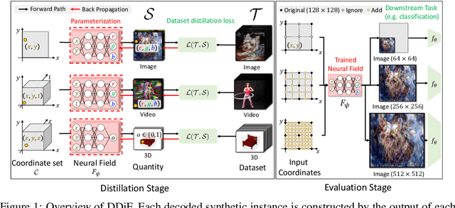 Figure 1 for Distilling Dataset into Neural Field