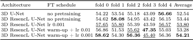 Figure 2 for Large Scale Supervised Pretraining For Traumatic Brain Injury Segmentation
