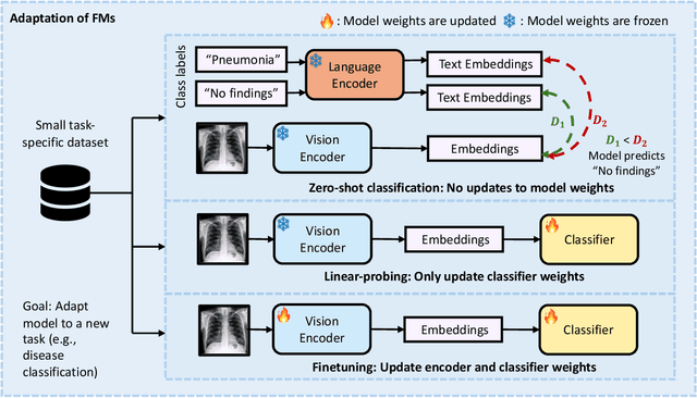 Figure 4 for Foundation Models in Radiology: What, How, When, Why and Why Not
