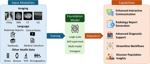 Figure 1 for Foundation Models in Radiology: What, How, When, Why and Why Not