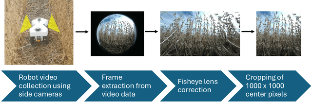 Figure 3 for Robust soybean seed yield estimation using high-throughput ground robot videos