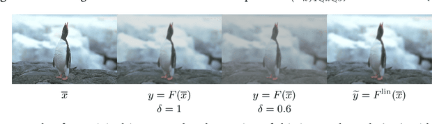 Figure 3 for Learning truly monotone operators with applications to nonlinear inverse problems