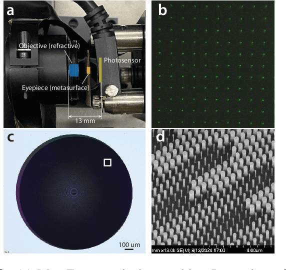 Figure 3 for Diffusion Algorithm for Metalens Optical Aberration Correction