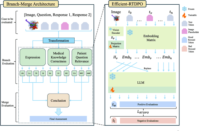 Figure 1 for ACE-$M^3$: Automatic Capability Evaluator for Multimodal Medical Models