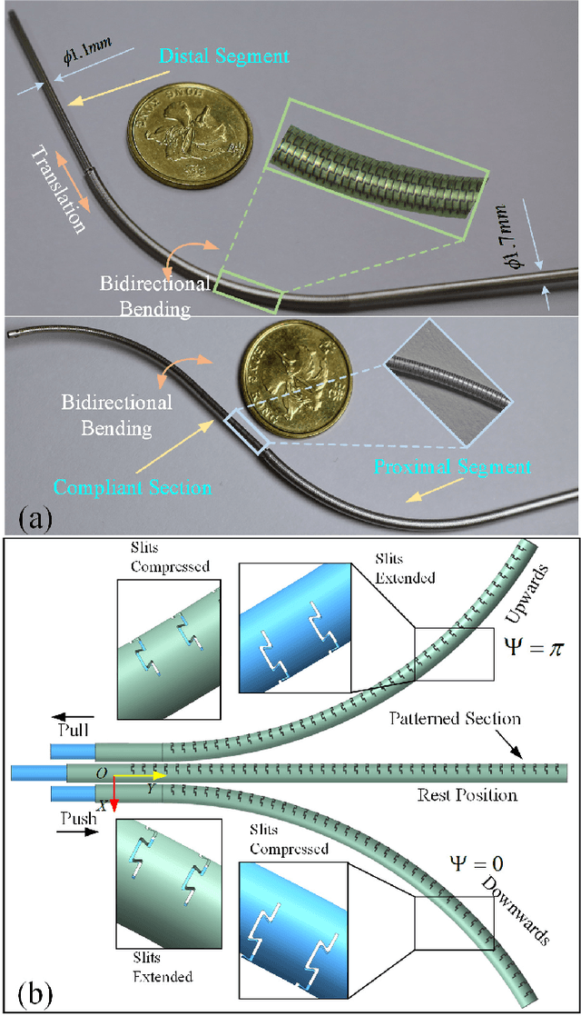 Figure 1 for Ultra-slender Coaxial Antagonistic Tubular Robot for Ambidextrous Manipulation