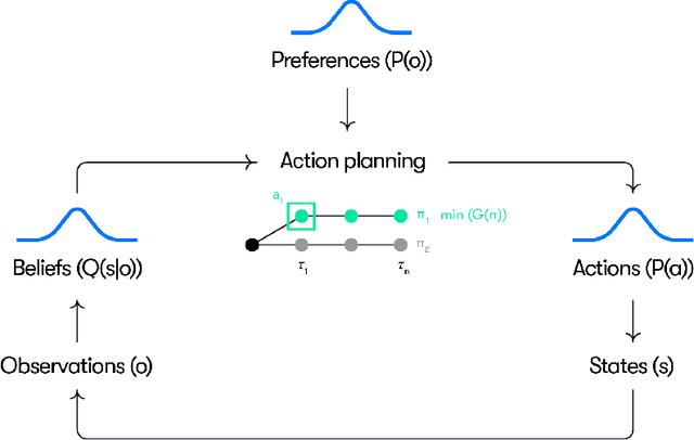 Figure 1 for Resolving uncertainty on the fly: Modeling adaptive driving behavior as active inference