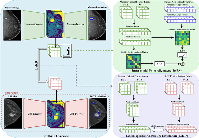 Figure 1 for CoMoTo: Unpaired Cross-Modal Lesion Distillation Improves Breast Lesion Detection in Tomosynthesis