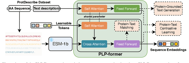 Figure 3 for ProtChatGPT: Towards Understanding Proteins with Large Language Models
