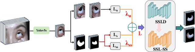 Figure 1 for Boosting Sclera Segmentation through Semi-supervised Learning with Fewer Labels