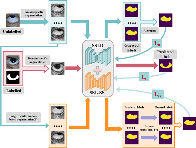 Figure 3 for Boosting Sclera Segmentation through Semi-supervised Learning with Fewer Labels