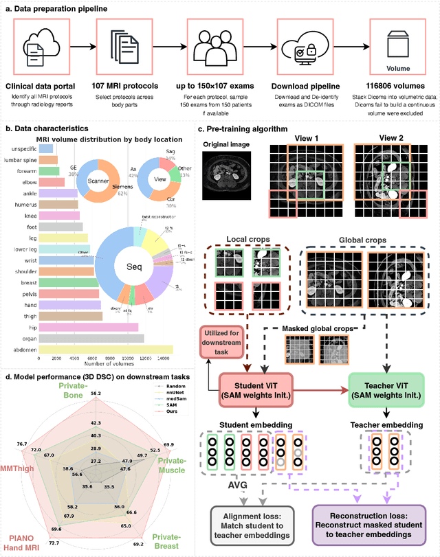 Figure 1 for MRI-CORE: A Foundation Model for Magnetic Resonance Imaging